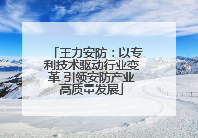 王力安防：以专利技术驱动行业变革 引领安防产业高质量发展