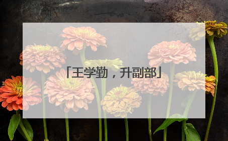 王学勤，升副部