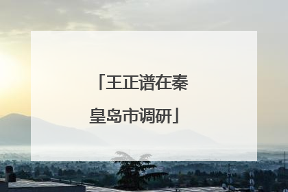 王正谱在秦皇岛市调研
