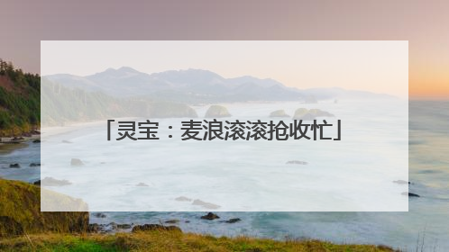 灵宝：麦浪滚滚抢收忙