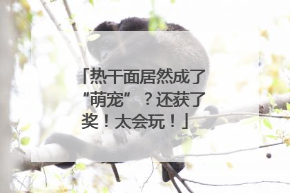 热干面居然成了“萌宠”？还获了奖！太会玩！
