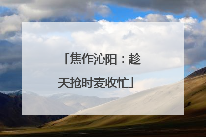 焦作沁阳：趁天抢时麦收忙