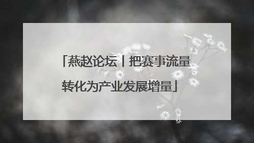 燕赵论坛丨把赛事流量转化为产业发展增量