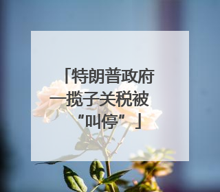 特朗普政府一揽子关税被“叫停”