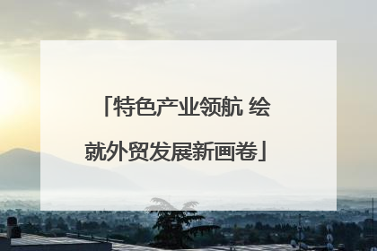 特色产业领航 绘就外贸发展新画卷