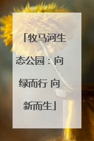 牧马河生态公园：向绿而行 向新而生