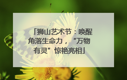 狮山艺术节：唤醒角落生命力，“万物有灵”惊艳亮相