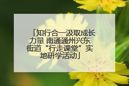 知行合一汲取成长力量 南通通州兴东街道“行走课堂”实地研学活动