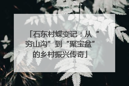 石东村蝶变记：从“穷山沟”到“聚宝盆”的乡村振兴传奇