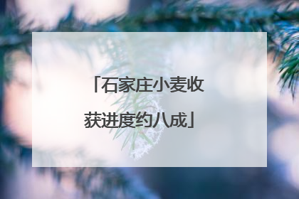 石家庄小麦收获进度约八成