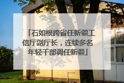 石如根跨省任新疆工信厅副厅长，连续多名年轻干部调任新疆