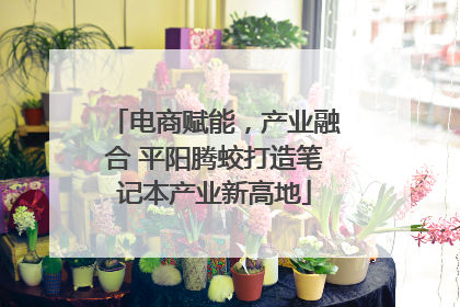 电商赋能，产业融合 平阳腾蛟打造笔记本产业新高地