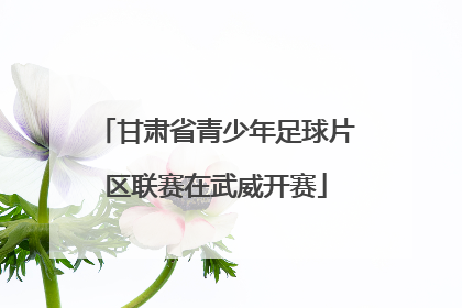 甘肃省青少年足球片区联赛在武威开赛