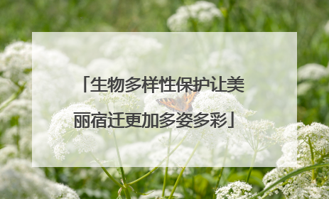 生物多样性保护让美丽宿迁更加多姿多彩