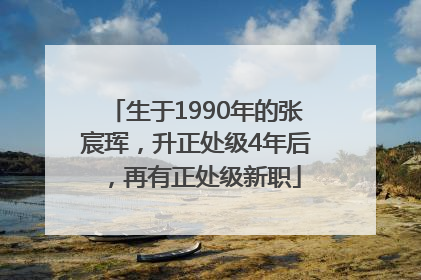 生于1990年的张宸珲，升正处级4年后，再有正处级新职
