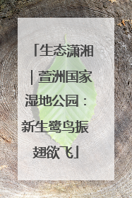 生态潇湘｜萱洲国家湿地公园：新生鹭鸟振翅欲飞