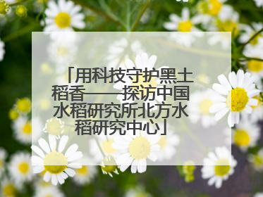 用科技守护黑土稻香——探访中国水稻研究所北方水稻研究中心