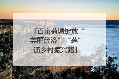 百亩荷塘绽放“美丽经济”“莲”通乡村振兴路