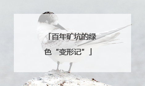 百年矿坑的绿色“变形记”