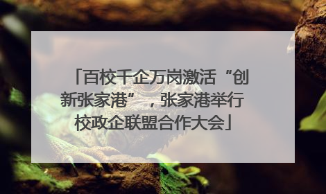 百校千企万岗激活“创新张家港”，张家港举行校政企联盟合作大会