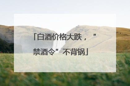 白酒价格大跌，“禁酒令”不背锅