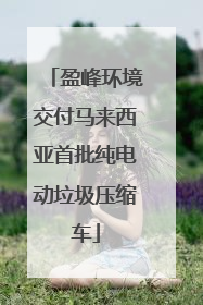 盈峰环境交付马来西亚首批纯电动垃圾压缩车