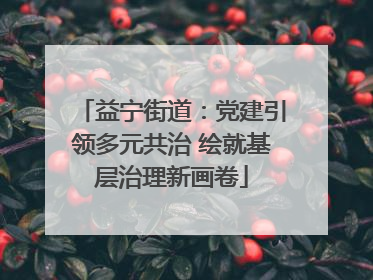 益宁街道：党建引领多元共治 绘就基层治理新画卷