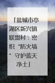 盐城市亭湖区新兴镇联盟村：密织“防火墙”守护蓝天净土