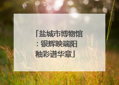 盐城市博物馆：银辉映端阳 釉彩谱华章