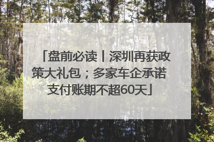盘前必读丨深圳再获政策大礼包；多家车企承诺支付账期不超60天