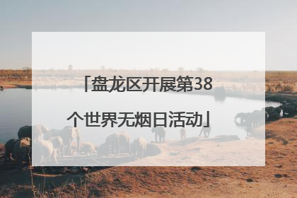 盘龙区开展第38个世界无烟日活动