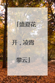 盛夏花开，凌霄攀云