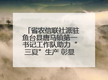 省农信联社派驻鱼台县唐马镇第一书记工作队助力“三夏”生产 彰显为民担当