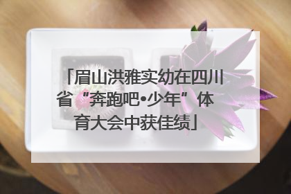 眉山洪雅实幼在四川省“奔跑吧•少年”体育大会中获佳绩
