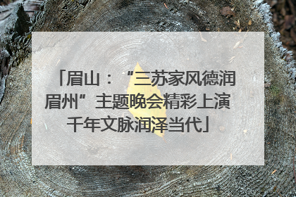 眉山：“三苏家风德润眉州”主题晚会精彩上演千年文脉润泽当代