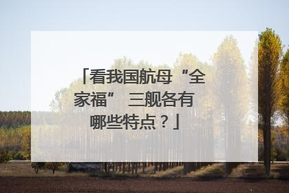 看我国航母“全家福” 三舰各有哪些特点？