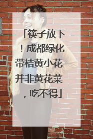 筷子放下！成都绿化带桔黄小花并非黄花菜，吃不得