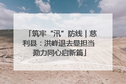 筑牢“汛”防线｜慈利县：洪峰退去显担当 勠力同心启新篇