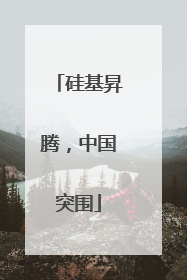 硅基昇腾，中国突围