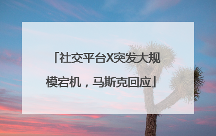 社交平台X突发大规模宕机，马斯克回应