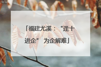 福建尤溪：“逢十进企” 为企解难