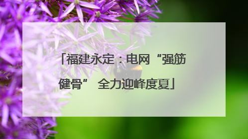 福建永定：电网“强筋健骨” 全力迎峰度夏
