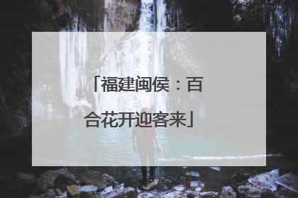 福建闽侯：百合花开迎客来