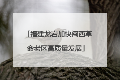 福建龙岩加快闽西革命老区高质量发展