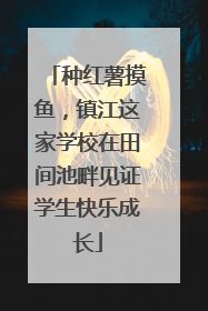 种红薯摸鱼，镇江这家学校在田间池畔见证学生快乐成长