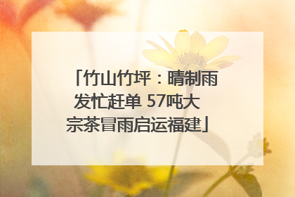 竹山竹坪：晴制雨发忙赶单 57吨大宗茶冒雨启运福建