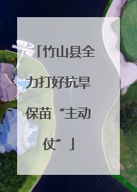 竹山县全力打好抗旱保苗“主动仗”