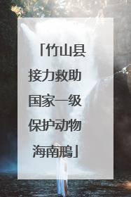 竹山县接力救助国家一级保护动物海南鳽