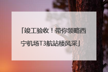 竣工验收！带你领略西宁机场T3航站楼风采