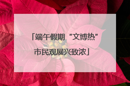 端午假期“文博热” 市民观展兴致浓